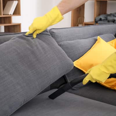 Couch Odour Removal